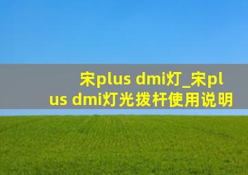 宋plus dmi灯_宋plus dmi灯光拨杆使用说明